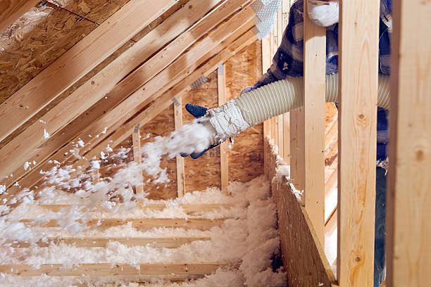 Best Eco-Friendly or Green Insulation Solutions  in New Middletown, OH